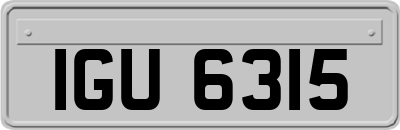 IGU6315