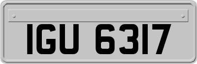 IGU6317