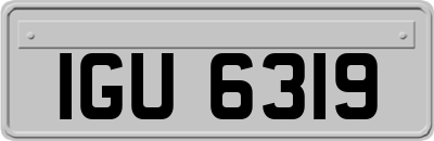 IGU6319