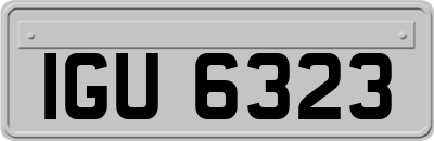 IGU6323