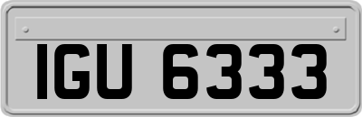 IGU6333