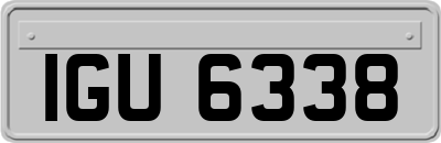 IGU6338