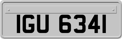 IGU6341