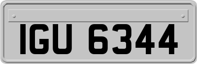 IGU6344