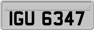 IGU6347