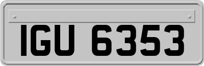 IGU6353