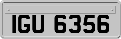 IGU6356