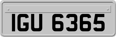IGU6365