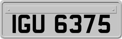 IGU6375