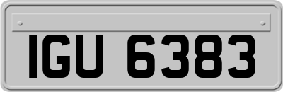 IGU6383