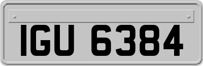 IGU6384