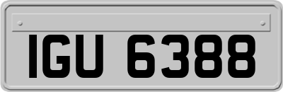 IGU6388