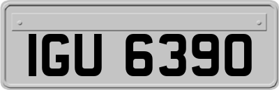 IGU6390