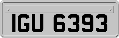 IGU6393