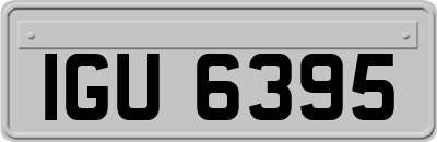 IGU6395