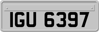 IGU6397