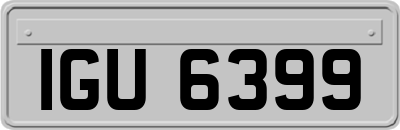IGU6399