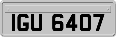 IGU6407
