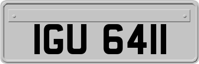 IGU6411