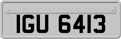 IGU6413
