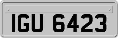 IGU6423