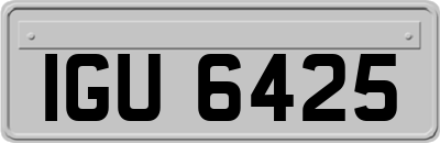 IGU6425