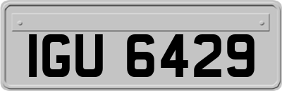 IGU6429