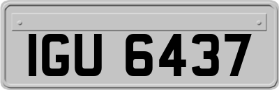 IGU6437