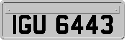 IGU6443