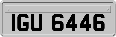 IGU6446