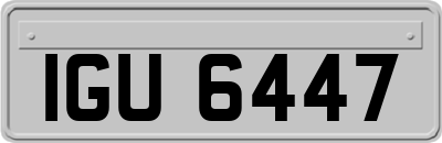 IGU6447