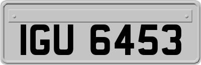 IGU6453