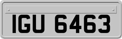 IGU6463