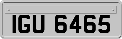 IGU6465