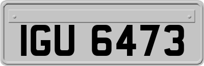 IGU6473