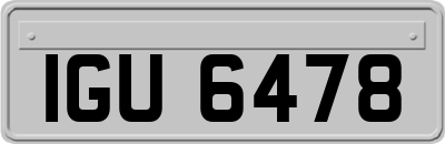 IGU6478