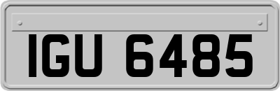 IGU6485