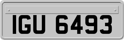 IGU6493