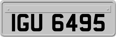 IGU6495