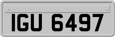 IGU6497