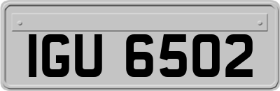IGU6502