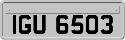 IGU6503