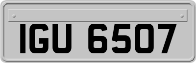 IGU6507