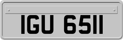 IGU6511