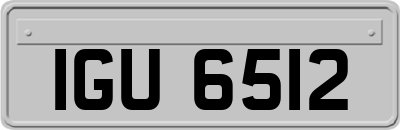 IGU6512