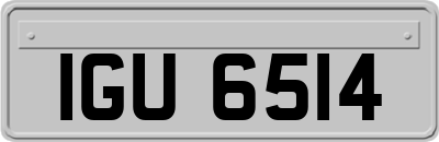IGU6514