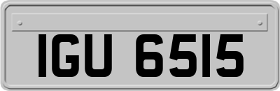 IGU6515