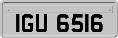 IGU6516