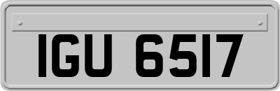 IGU6517