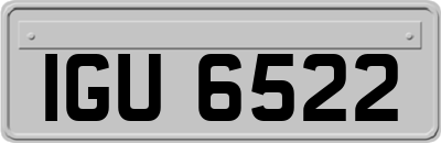 IGU6522